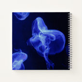 Cahier spiralé 8,5" x 8,5" (Dos)
