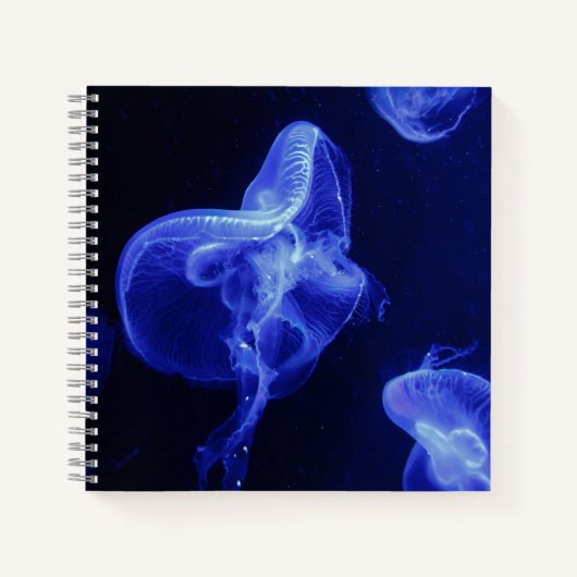 Cahier spiralé 8,5" x 8,5" (Devant)