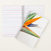Cahier spiralé 8,5" x 8,5" (À l'intérieur)