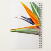 Cahier spiralé 8,5" x 8,5" (Verso)