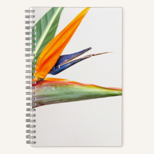 Cahier spiralé 8,5" x 8,5"
