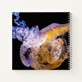 Cahier spiralé 8,5" x 8,5" (Dos)