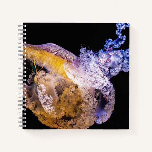 Cahier spiralé 8,5" x 8,5" (Devant)