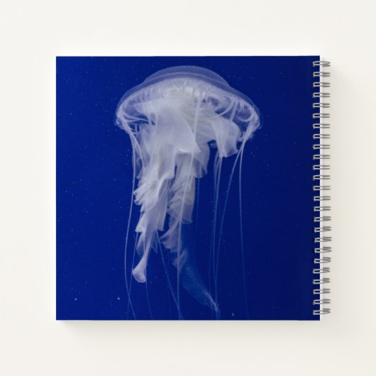 Cahier spiralé 8,5" x 8,5" (Dos)