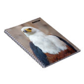 Cahier spiralé Aigle de mer d'Afrique (Côté Droit)