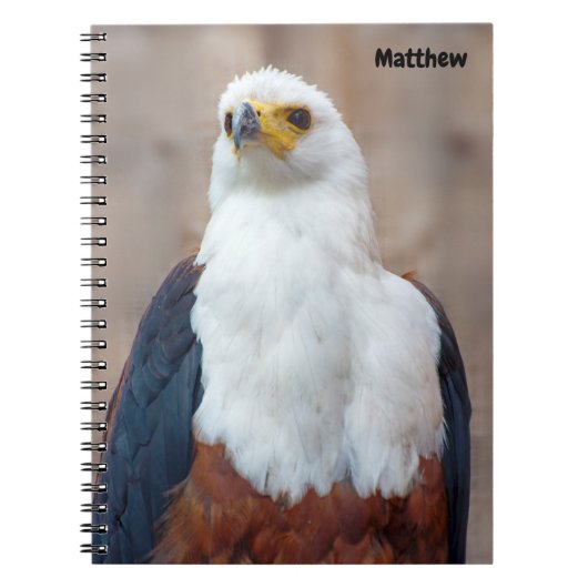 Cahier spiralé Aigle de mer d'Afrique (Devant)