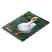 Cahier spirale Canard (Côté gauche)