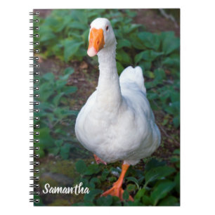 Cahier spirale Canard
