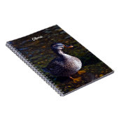 Cahier spiralé Canard colvert (Côté Droit)