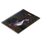 Cahier spiralé Canard colvert (Côté gauche)