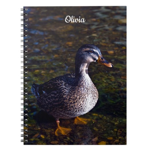 Cahier spiralé Canard colvert (Devant)