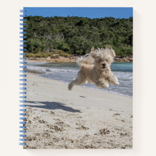 Cahier Spirale Caniche
