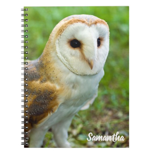 Cahier spirale Chouette effraie (Devant)