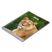 Cahier spirale Lion (Côté gauche)