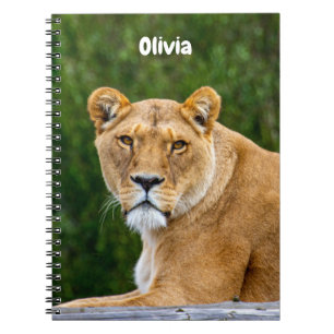 Cahier spirale Lion