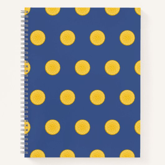 Cahier Spirale Sensationnel Synura (Devant)