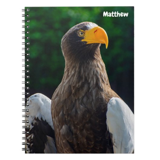 Cahier spiralé Stellar Sea Eagle (Devant)