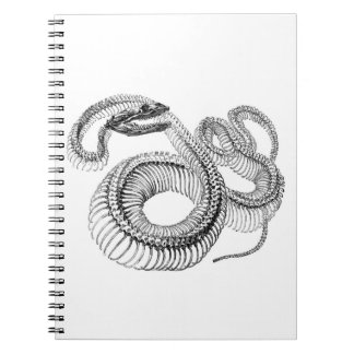 Cahier squelette de serpent