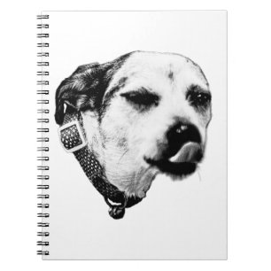 Cahier Terrier Impertinent – Clin d'œil et Coup de