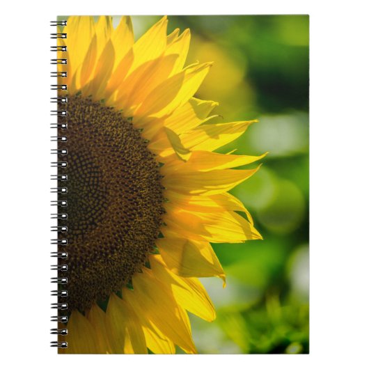 Cahier - Tournesol Dans Le Champ (Devant)