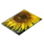 Cahier - Tournesol Jaune (Côté gauche)