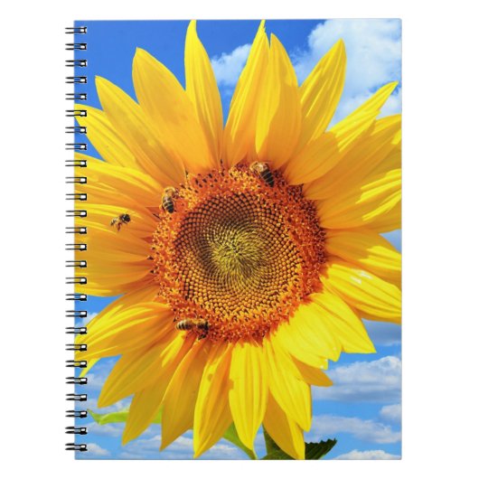 Cahier Tournesol Jaune (Devant)