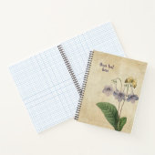 Cahier Vintage Gloxinia (Intérieur)