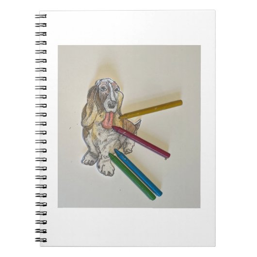 Cahiers de Bassie (Devant)