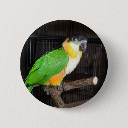 CaïButton Ronde Button 5,7 Cm (Voorkant)