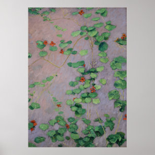 Caillebotte - Nasturtiums Poster