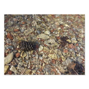 Cailloux dans la photographie de nature de Taylor