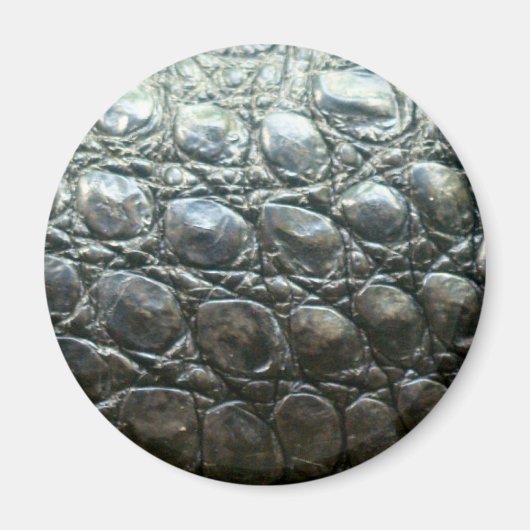 Caiman Crocodile Faux Alligator-Skin Design Magneet (Voorkant)