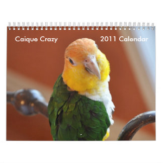 Caique Crazy 2011 Agenda Kalender