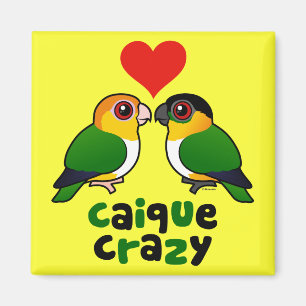 Caique Crazy Magneet