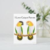 Caique Parrot Love Briefkaart (Staand voorkant)