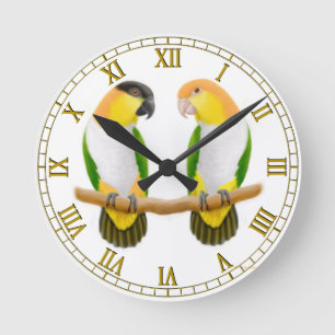 Caique Parrot Love Wall klok