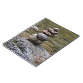 Cairn dans un journal de blanc de courant (Côté gauche)