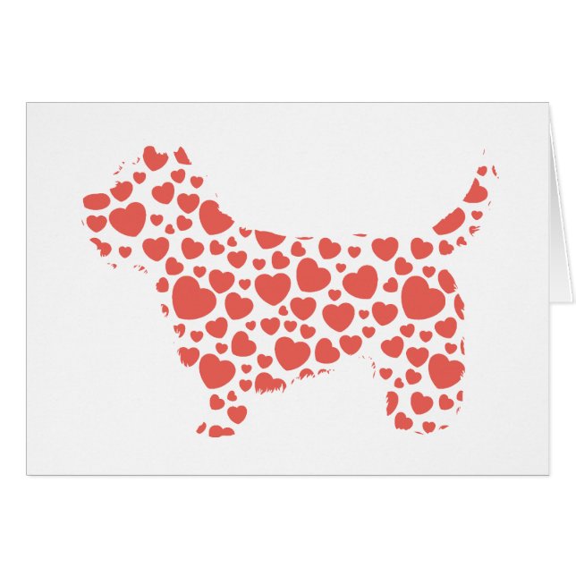 Cairn Terrier (Devant horizontal)