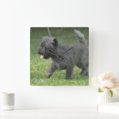 cairn-terrier-2.jpg vierkante klok (Huis)