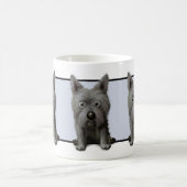 Cairn Terrier 2 Mok CT1 (Center)