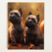 Cairn Terrier Chiot Automne Citrouille de plaisir (Devant)