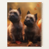 Cairn Terrier Chiot Automne Citrouille de plaisir (Dos)