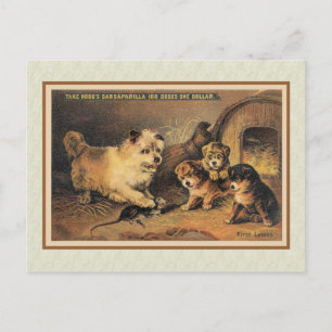 Cairn Terrier Dog en Haar Puppies Briefkaart