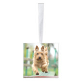 Cairn Terrier Dog Two Photo Kerstfeestdag Kubus Ornament (Rechts)