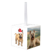Cairn Terrier Dog Two Photo Kerstfeestdag Kubus Ornament (Achter hoekig)