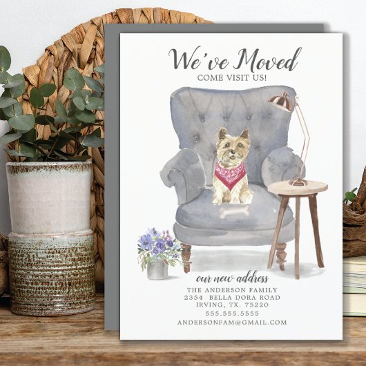 Cairn Terrier Dog | Verplaatsingsaankondiging Aankondiging