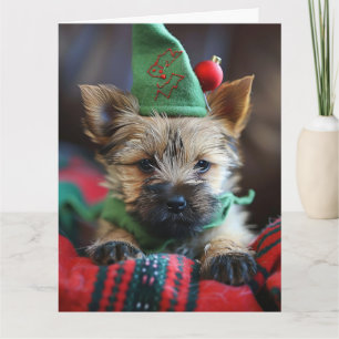 Cairn Terrier Elf Puppy Kerst Kaart