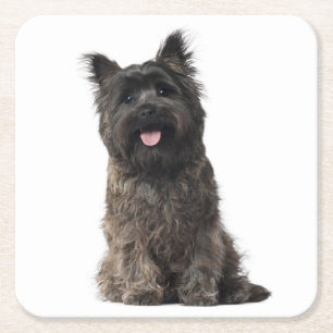 Cairn Terrier Grey Black Puppy Dog Love Vierkante Kartonnen Onderzetter