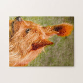 Cairn Terrier hond. Legpuzzel (Horizontaal)