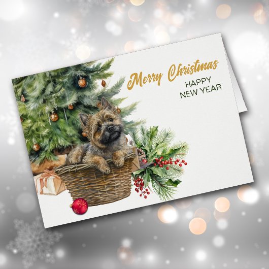 Cairn Terrier Hond Rieten Mand Kerstboom